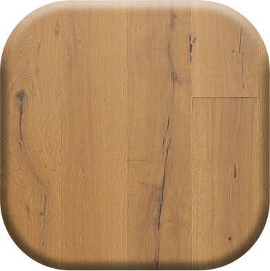 image of the collection